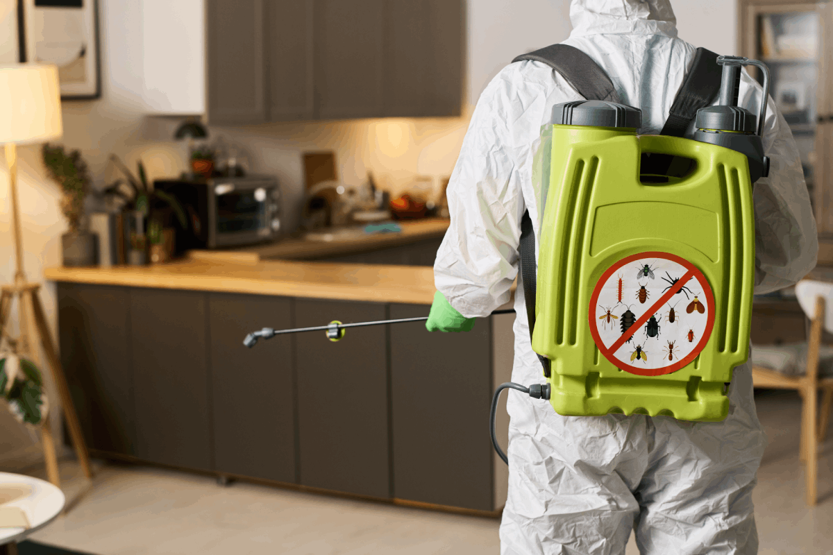 Hawx Pest Control Reviews: Transparent, Trustworthy, and Efficient
